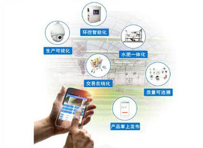 智能科技賦能 休閑農(nóng)業(yè)中“體驗(yàn)”產(chǎn)品的創(chuàng)新升級(jí)