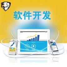一品威客網軟件外包服務報價與收費解析 專業、透明、高性價比的開發選擇